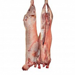 Viande de mouton préparer et crue